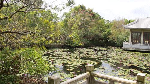 去日本从哪里出发最便宜,去日本从哪出发最便宜