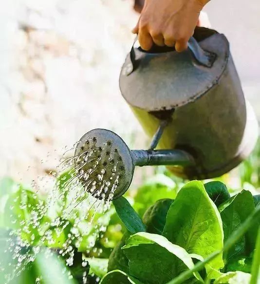 油桶问题用5种方法解决,空油桶的使用方法图