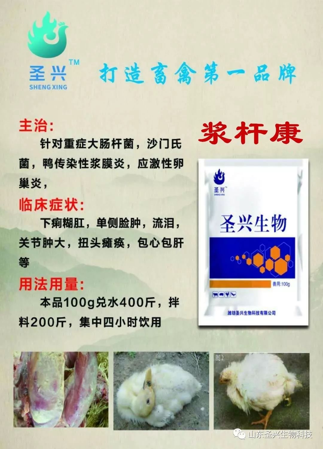 连续使用两个疗程浆膜炎和副粘病毒混感还不能根治,不要执着了,必须使用我们的黄金搭档