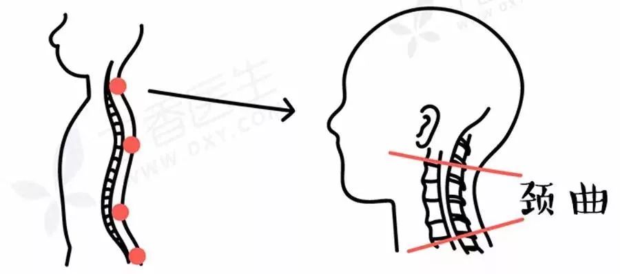 枕头不是用来枕的是用来干嘛的,枕头仅仅是用来枕头的吗