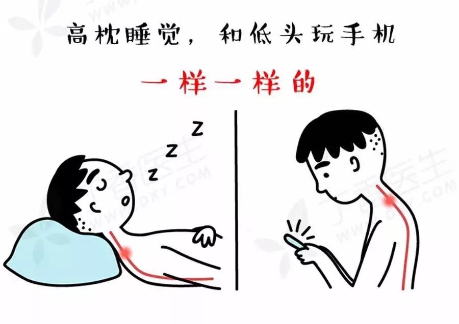 枕头不是用来枕的是用来干嘛的,枕头仅仅是用来枕头的吗