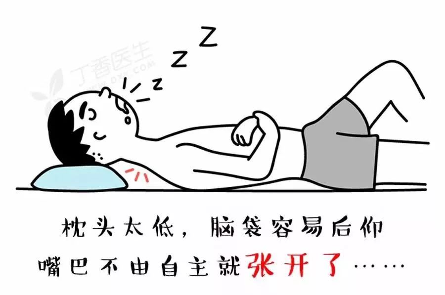 枕头不是用来枕的是用来干嘛的,枕头仅仅是用来枕头的吗