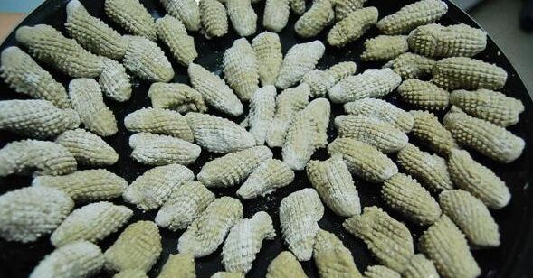 閲戝崕鍦伴亾缇庨,娴欐睙閲戝崕鍦伴亾缇庨