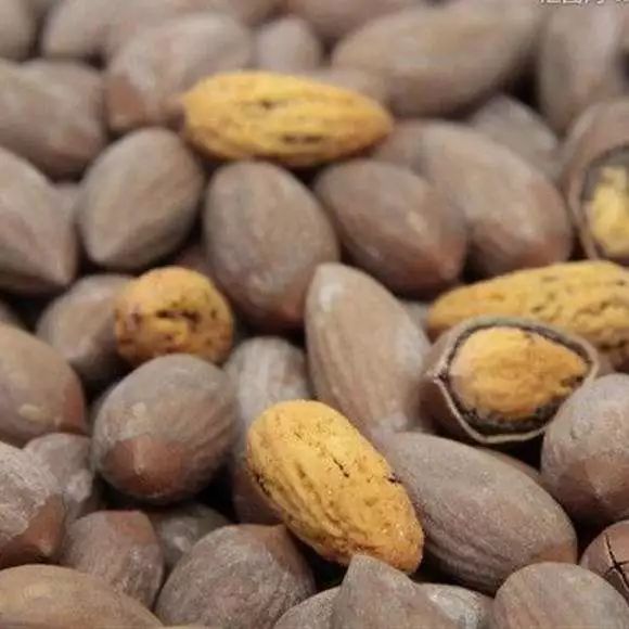 閲戝崕鍦伴亾缇庨,娴欐睙閲戝崕鍦伴亾缇庨