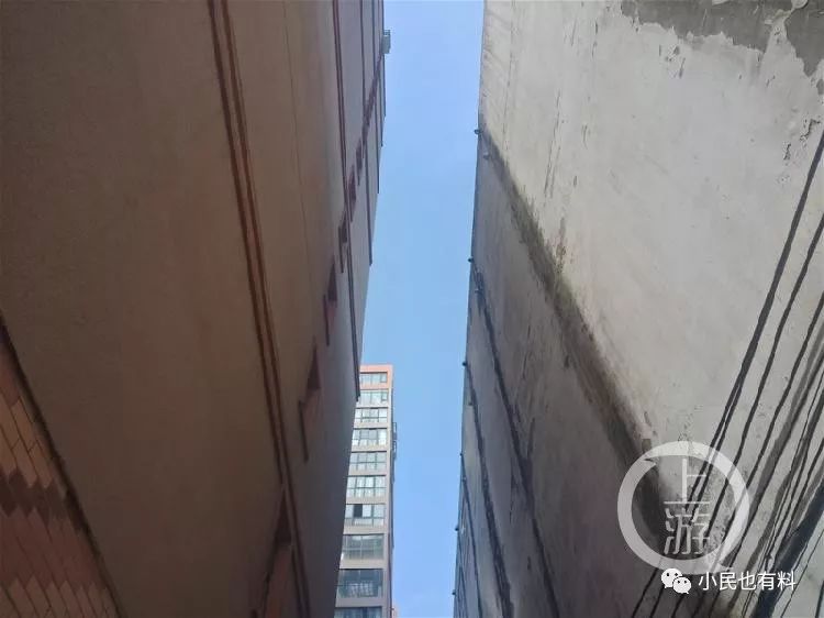 「愤慨」大一女生遭性侵后坠亡，嫌疑人竟碾压尸体伪造车祸！