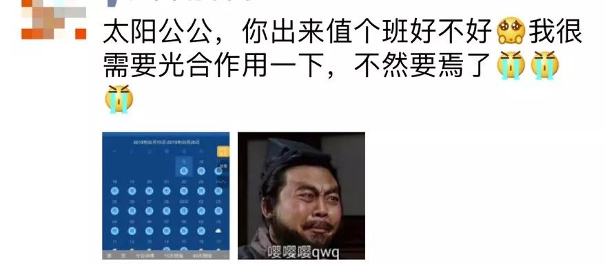 好物|头皮发麻！没有它我真的连衣服都不敢穿了