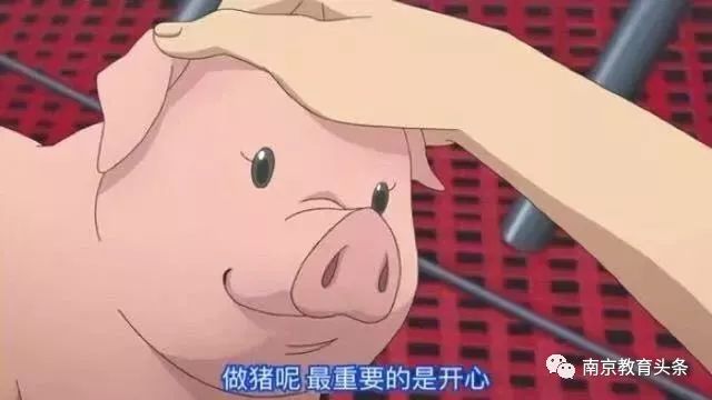 又下雪了！未来12小时积雪深度5厘米！权威部门启动最新交通管制