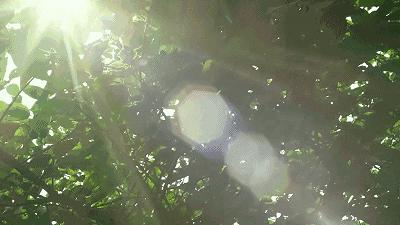 2019年,谁不想做一个像闫妮那样精致的猪猪女孩呢?(文末有大福利!100-200购物卡送给你~)