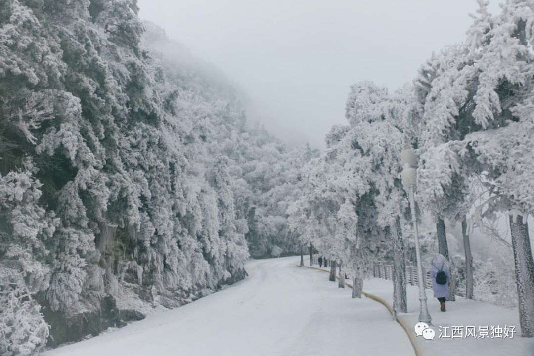 庐山人文第一山,庐山是一座风光秀丽的山