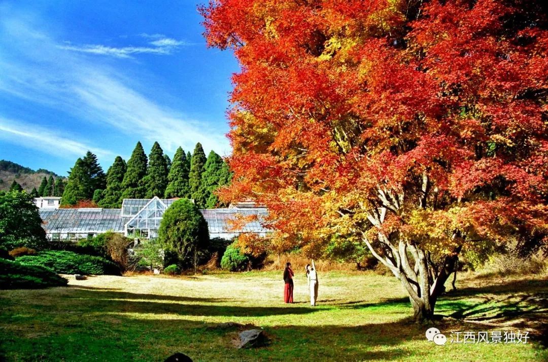 庐山人文第一山,庐山是一座风光秀丽的山