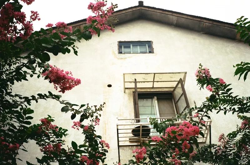 自己出门旅游，房子在家“上班”！杭州妹子全家出境旅游，空房一晚进账千元搞定旅费！