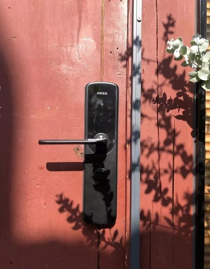 自己出门旅游,房子在家“上班”!杭州妹子全家出境旅游,空房一晚进账千元搞定旅费!