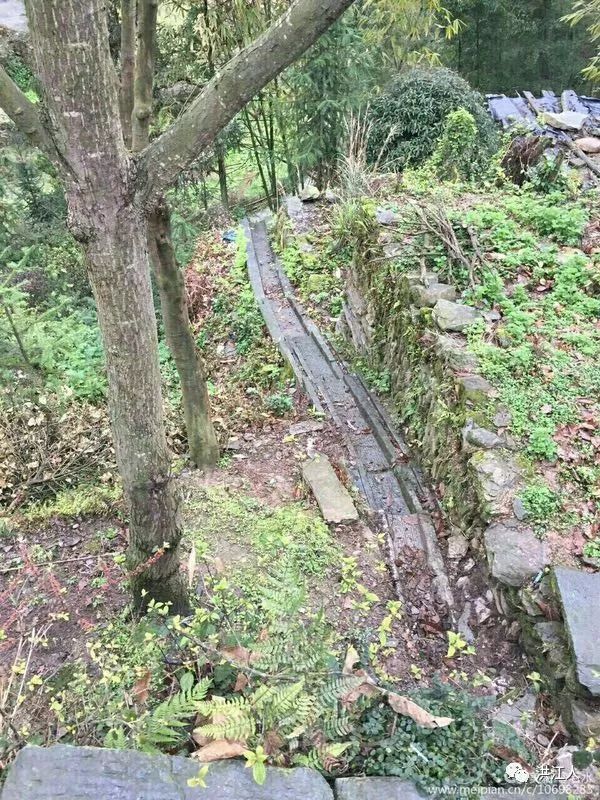 「辣评快递」一声长篙划过巫水的乡愁——品读王一丁先生《半界赋》有感