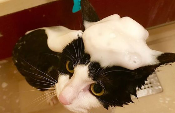 日推上爆火的6块钱大创洗颜打泡器白买了，原来这才是正确用法！