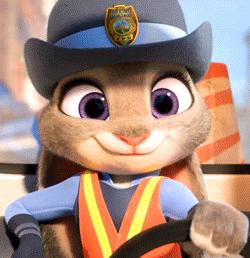 网上租车异地违章,神州租车异地违章