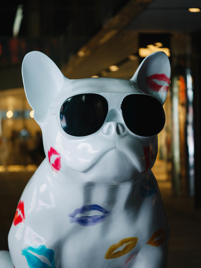 中画幅相机哈苏评测,哈苏中画幅微单镜头推荐