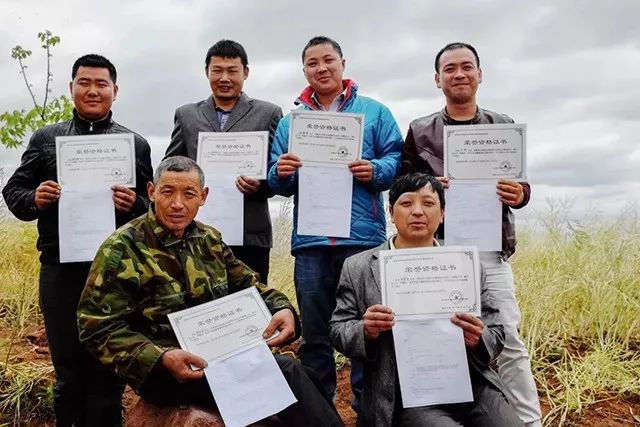 冬季才能酿得的“枇杷蜜”，甜润生津，稀少珍贵