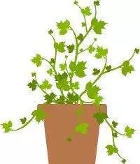 内外兼修成长快乐,内外兼修不断进步学习