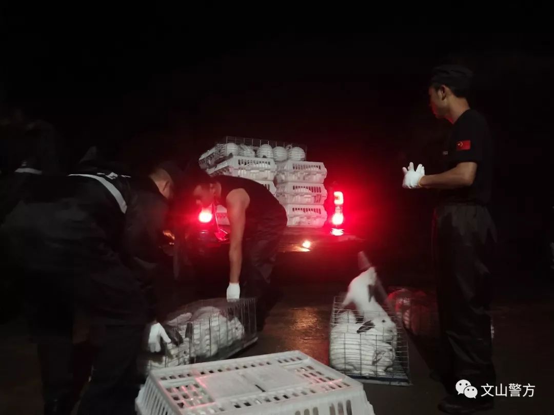 民警转移暴雨被困群众简报,暴雨险情民警为群众撑起平安伞