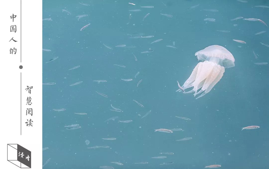 24岁想学习一门手艺,一门手艺月入百万