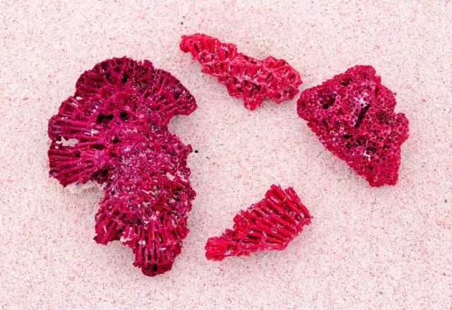 巴厘岛直飞中国航班,飞印尼巴厘岛要多久