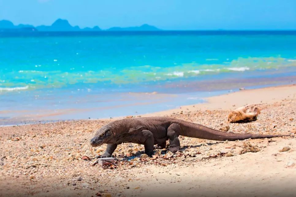 巴厘岛直飞中国航班,飞印尼巴厘岛要多久