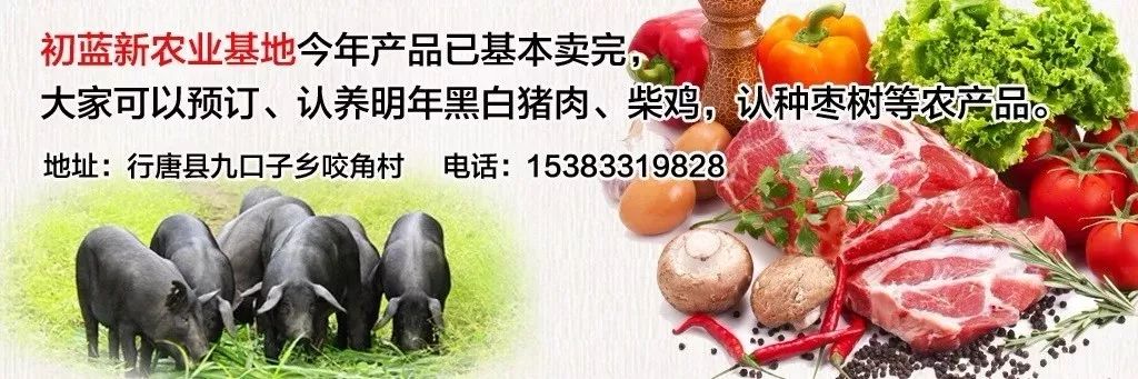 想买房子注意哪些,2019买房合适吗石家庄
