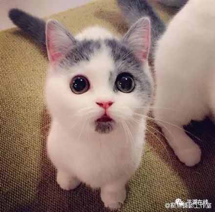 浙江平湖驾照什么时候恢复,嘉兴平湖驾驶证升级