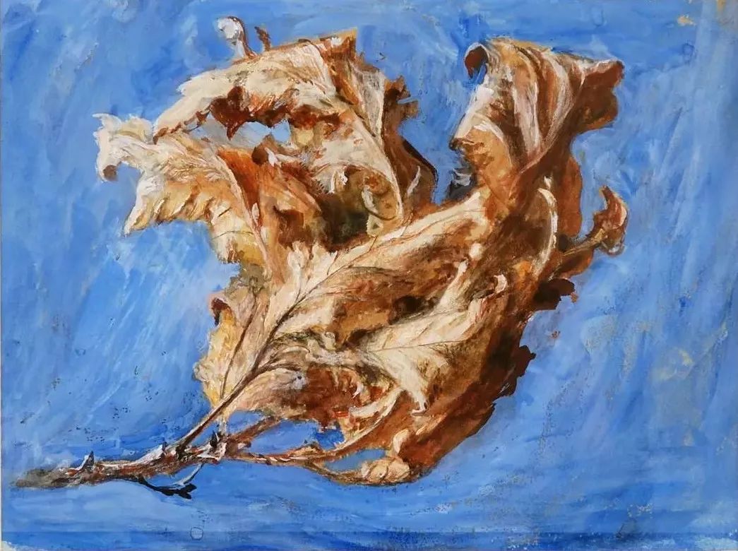 5鍒嗛挓甯︿綘棰嗙暐2019鍏ㄧ悆閲嶈澶у睍,5鍒嗛挓鐪嬫噦涓栫晫閲嶈澶у睍