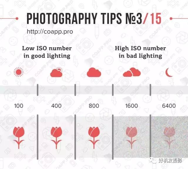 摄影教程零基础学摄影快门光圈,摄影初学者拍的第1张照片