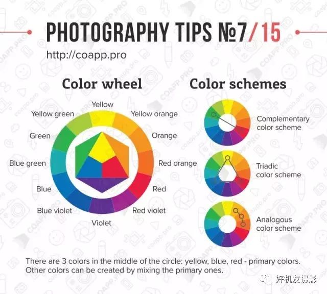 摄影教程零基础学摄影快门光圈,摄影初学者拍的第1张照片
