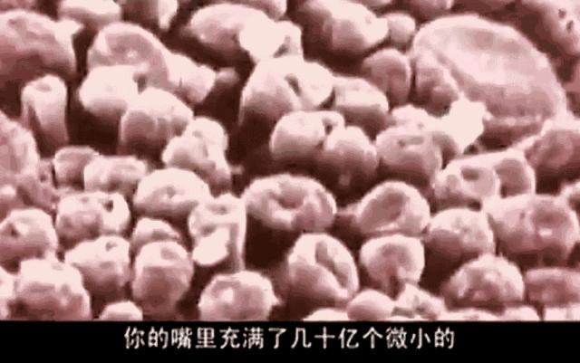 好物丨用它30秒吐掉嘴里所有脏东西，连呼吸都是水果味