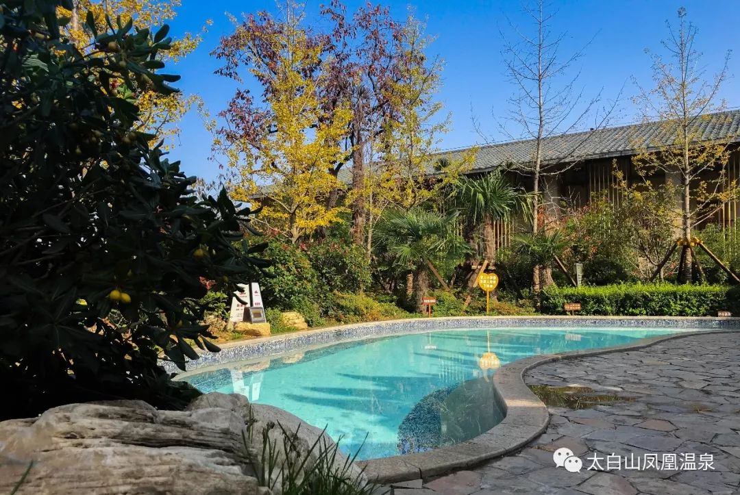 太白山凤凰温泉美食攻略,太白山温泉自助餐一体畅吃畅玩