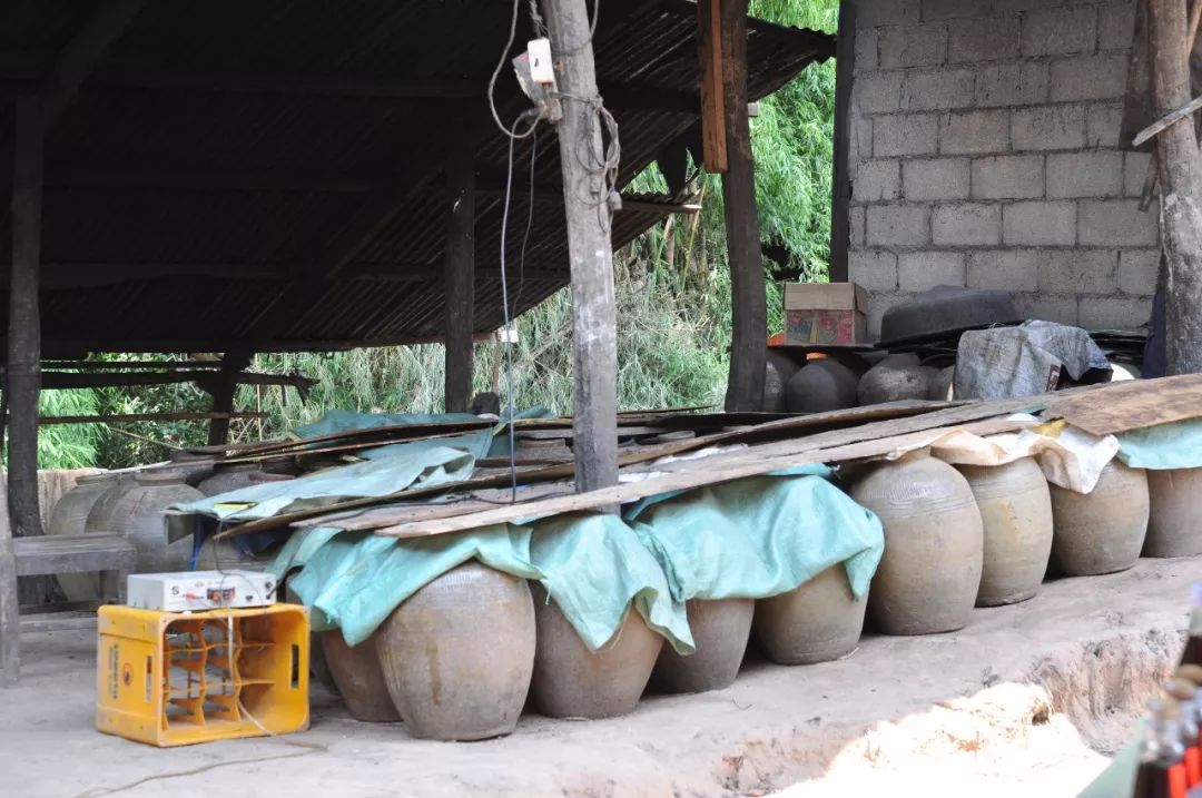 客家娘酒补气血吗,客家娘酒是寒性还是热性