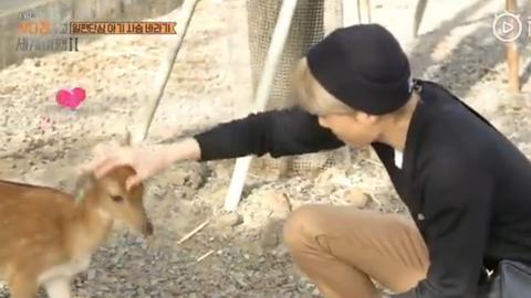 exo瓒崇悆鎼炵瑧瑙嗛,exo鍒嗕韩