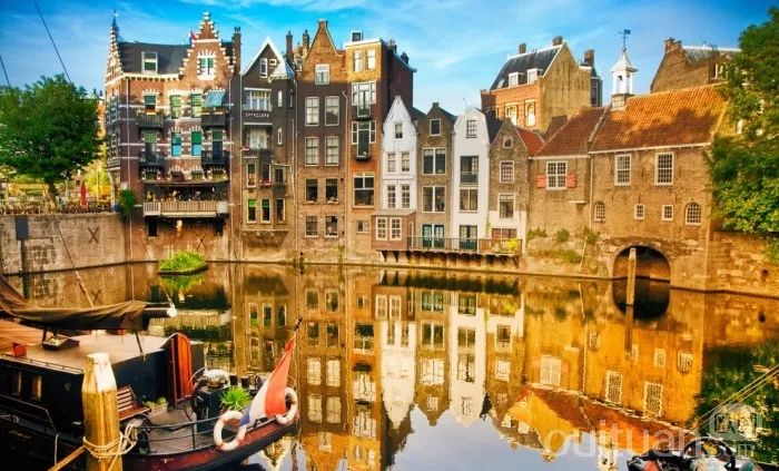 走进荷兰“花花世界”，五大赏花攻略总有一款适合您！骑行/直升机，逛花园花田，跟着花农的脚步走过这个春天