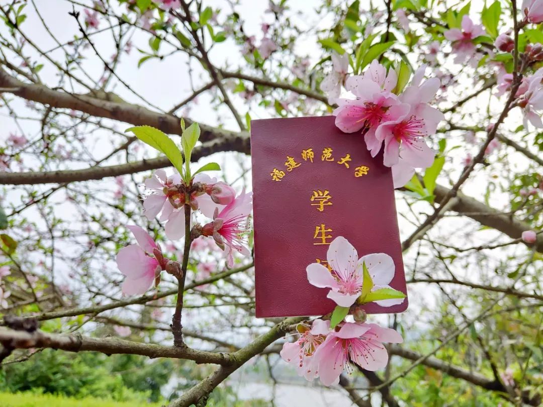 假期余额告急！是时候晒出我和“他”的旅行日记了