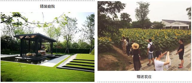 周四产品说丨“合院”火了！为何这类产品能够引爆市场