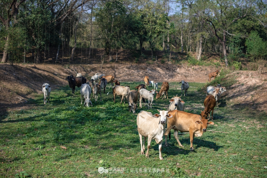 素可泰历史公园，骑行48h