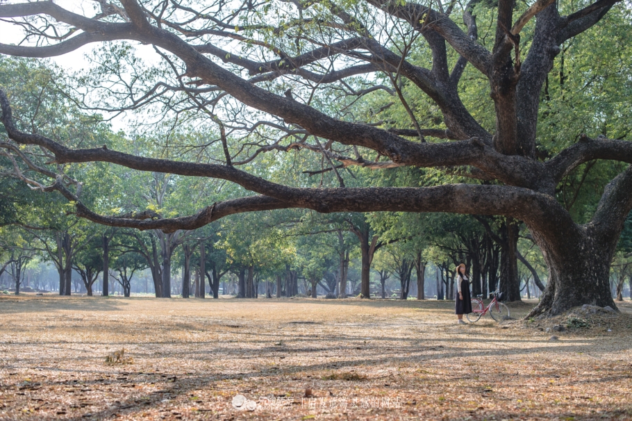素可泰历史公园，骑行48h