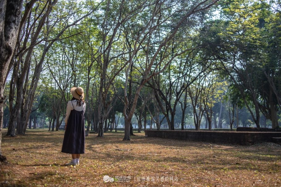 素可泰历史公园，骑行48h