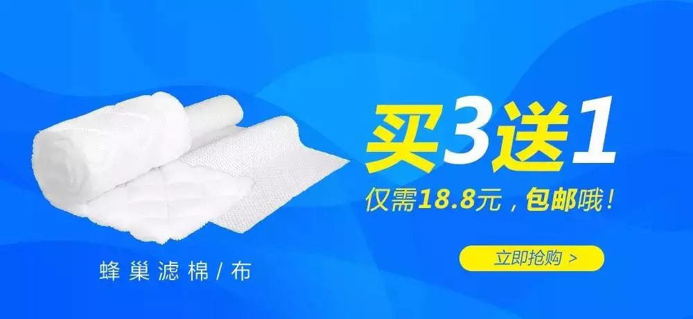 海水鱼外寄的方法,海水鱼外寄怎么处理