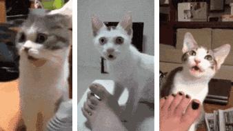 每天成交2w单！连穿7天不臭脚的袜子，世界专利金奖，连脚气都没复发了！