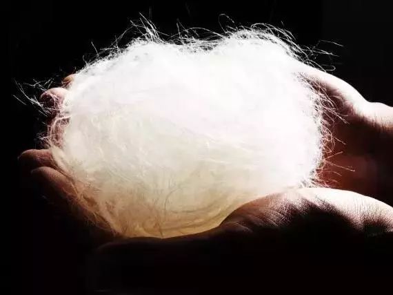 每天成交2w单！连穿7天不臭脚的袜子，世界专利金奖，连脚气都没复发了！