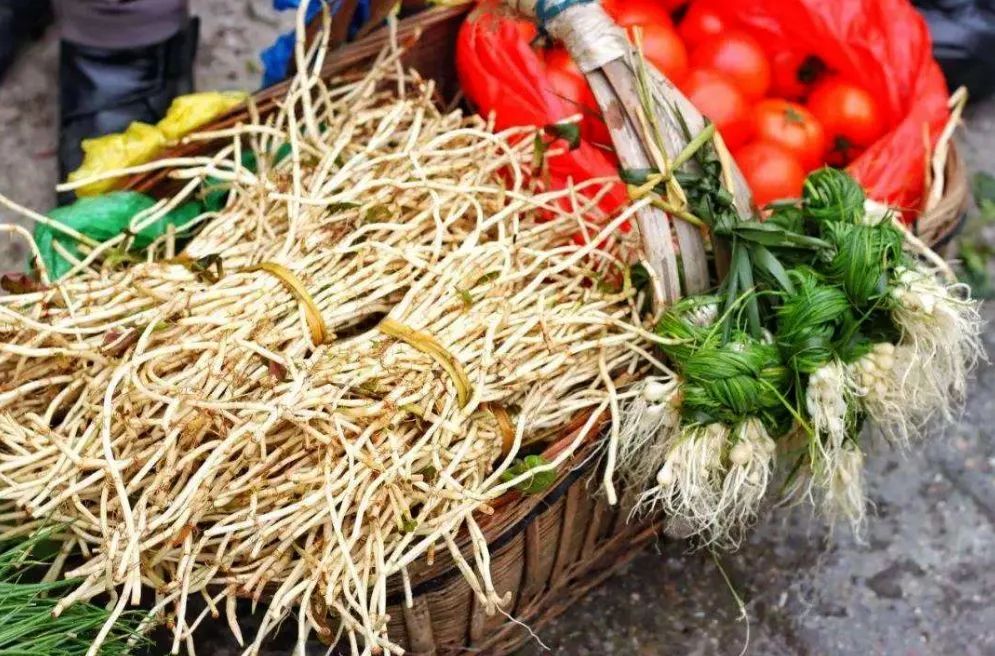 德阳人的素质有哪些,四川德阳人真实生活