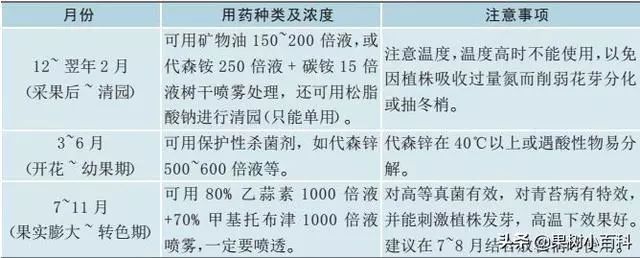 柑橘树的青苔有什么危害,青苔对果树的危害