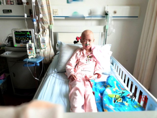 来自市民游客的共同心意！“花盆爸爸”收到沉甸甸的“一兜福”