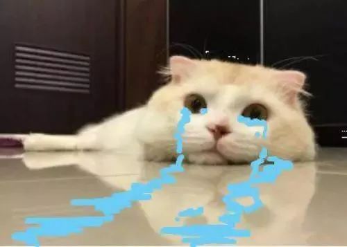 「团团说」如果地球真的去流浪了，你的专业能干点啥？