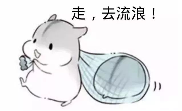 「团团说」如果地球真的去流浪了，你的专业能干点啥？