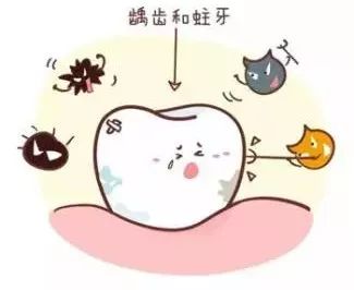 教育局禁止售卖的食品,中小学校禁止对学生出售零食